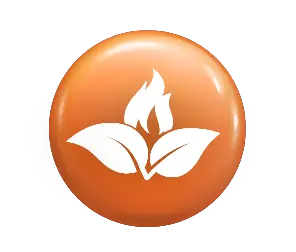 Passion icon: white flame above leaves on a glossy orange circular badge